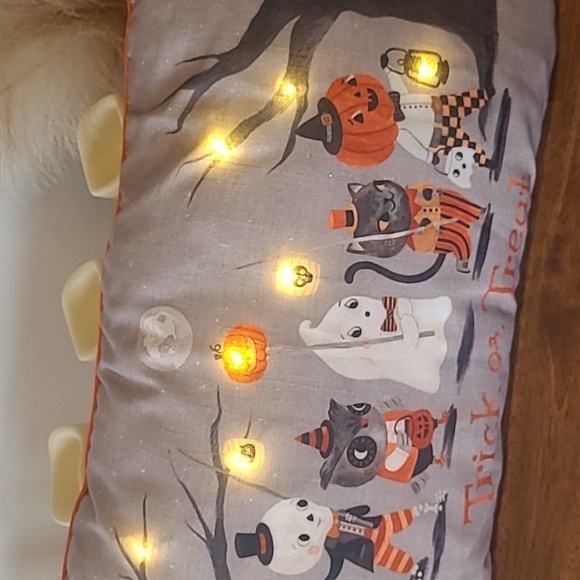 Cynthia Rowley pillow - Picture 6 of 10